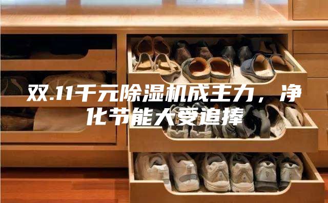 雙.11千元除濕機成主力，凈化節能大受追捧