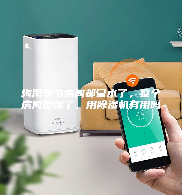 梅雨季節房間都冒水了，整個房間都濕了，用除濕機有用嗎