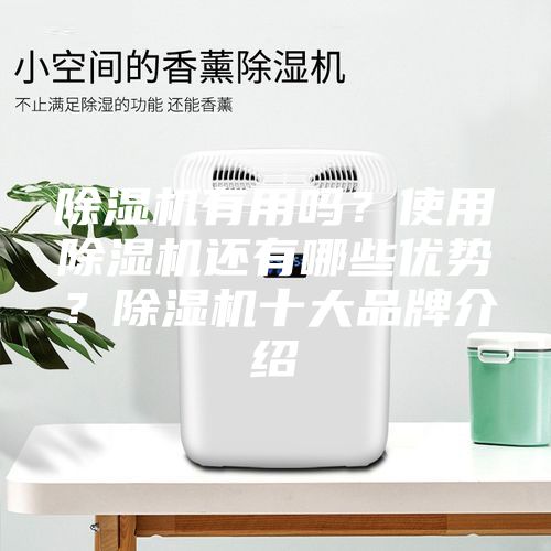 除濕機(jī)有用嗎？使用除濕機(jī)還有哪些優(yōu)勢(shì)？除濕機(jī)十大品牌介紹