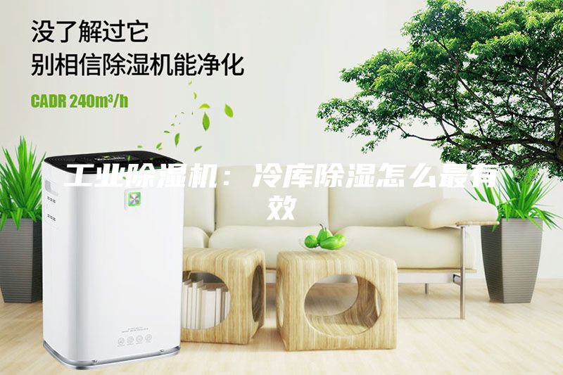 工業除濕機：冷庫除濕怎么最有效