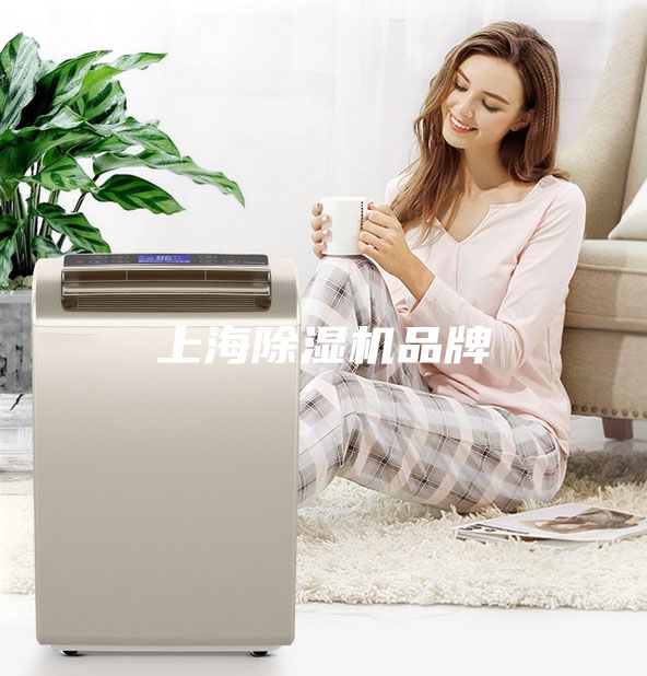 上海除濕機品牌