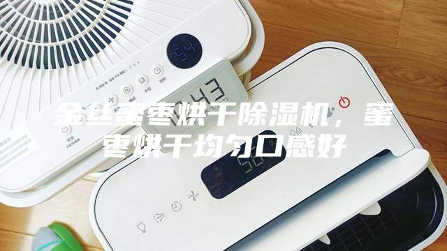 金絲蜜棗烘干除濕機，蜜棗烘干均勻口感好
