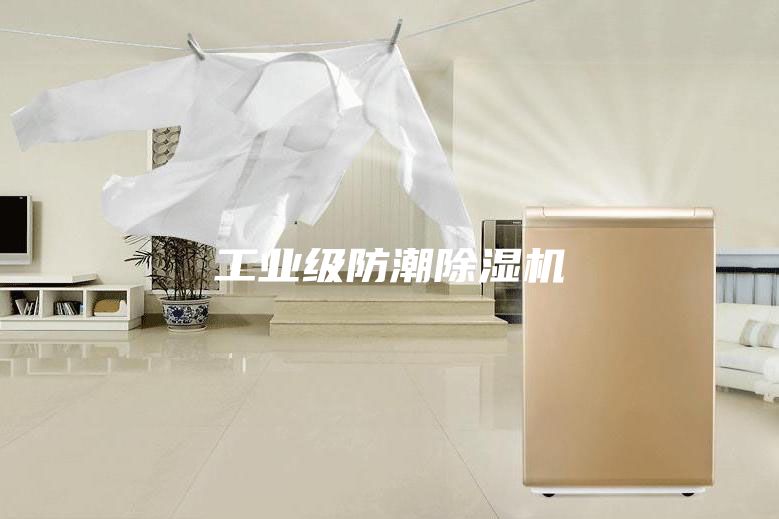 工業(yè)級(jí)防潮除濕機(jī)