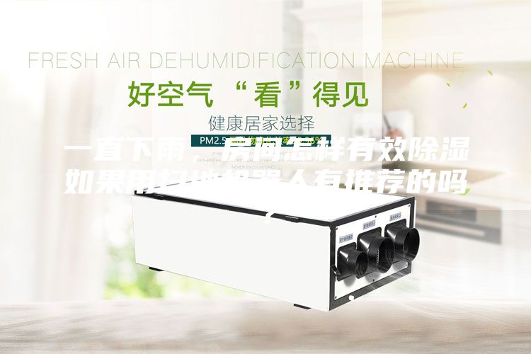 一直下雨，房間怎樣有效除濕如果用掃地機器人有推薦的嗎？