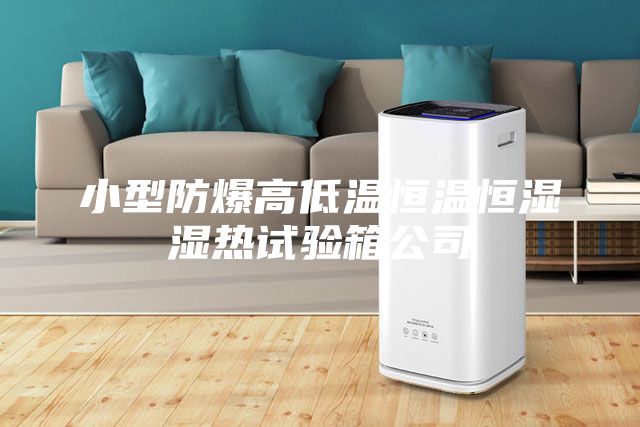 小型防爆高低溫恒溫恒濕濕熱試驗箱公司