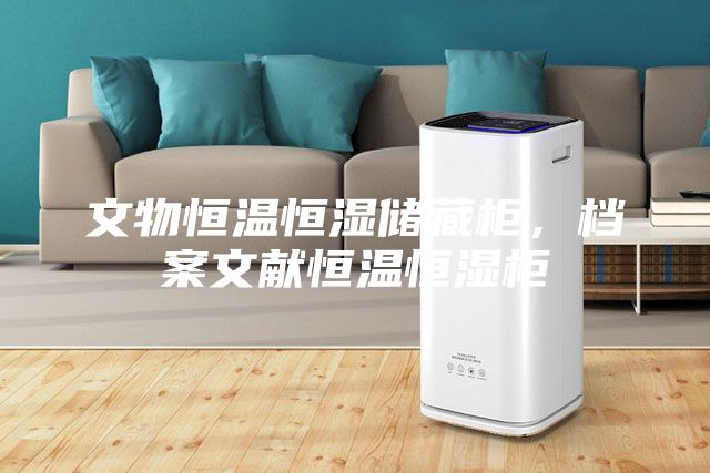 文物恒溫恒濕儲藏柜，檔案文獻恒溫恒濕柜