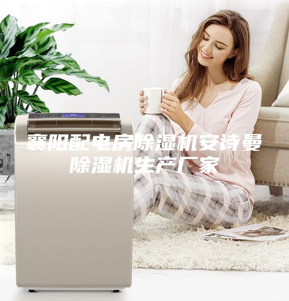 襄陽配電房除濕機安詩曼除濕機生產廠家