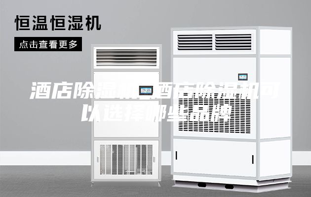 酒店除濕機_酒店除濕機可以選擇哪些品牌
