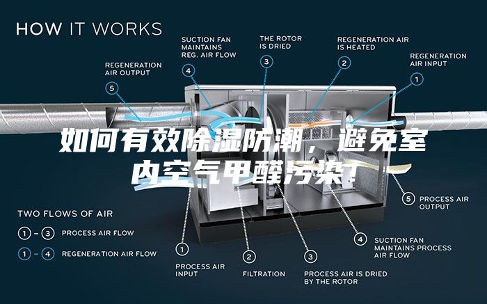 如何有效除濕防潮，避免室內空氣甲醛污染！