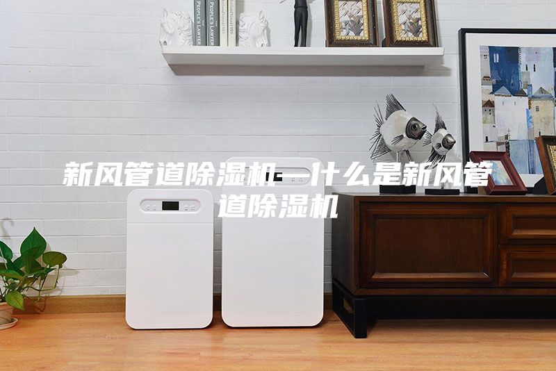 新風管道除濕機—什么是新風管道除濕機