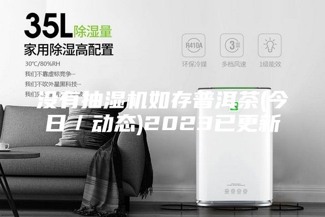 沒有抽濕機如存普洱茶(今日／動態)2023已更新