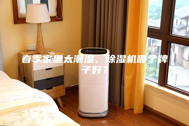春季家里太潮濕，除濕機哪個牌子好？