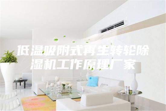 低溫吸附式再生轉輪除濕機工作原理廠家