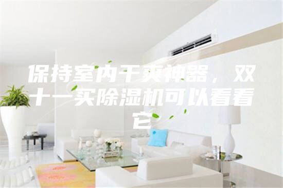 保持室內干爽神器，雙十一買除濕機可以看看它