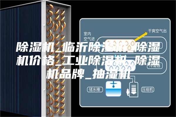除濕機_臨沂除濕機_除濕機價格_工業(yè)除濕機_除濕機品牌_抽濕機