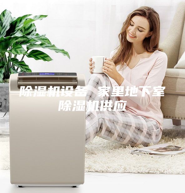 除濕機設(shè)備 家里地下室除濕機供應(yīng)